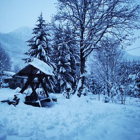 Cabana Valea Rea, Boga Boga  Buitenkant foto
