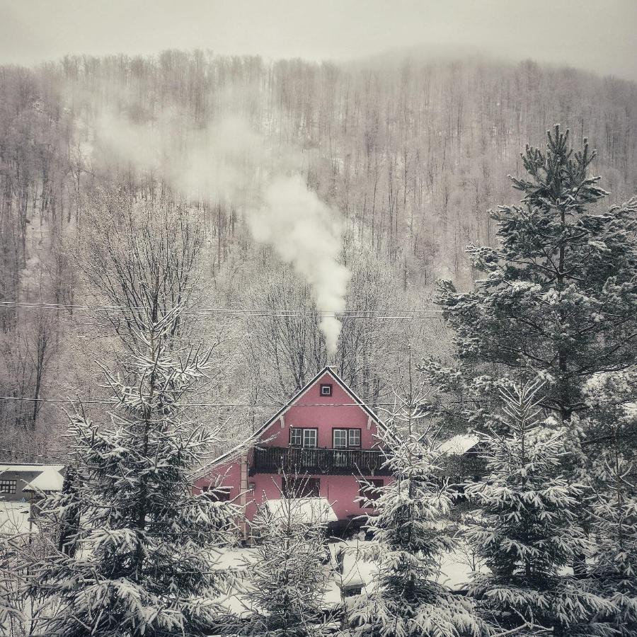 Cabana Valea Rea, Boga Boga  Buitenkant foto