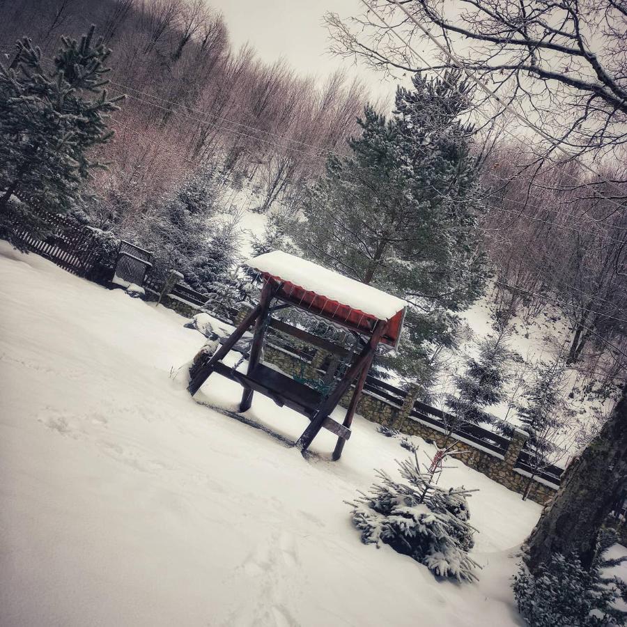 Cabana Valea Rea, Boga Boga  Buitenkant foto