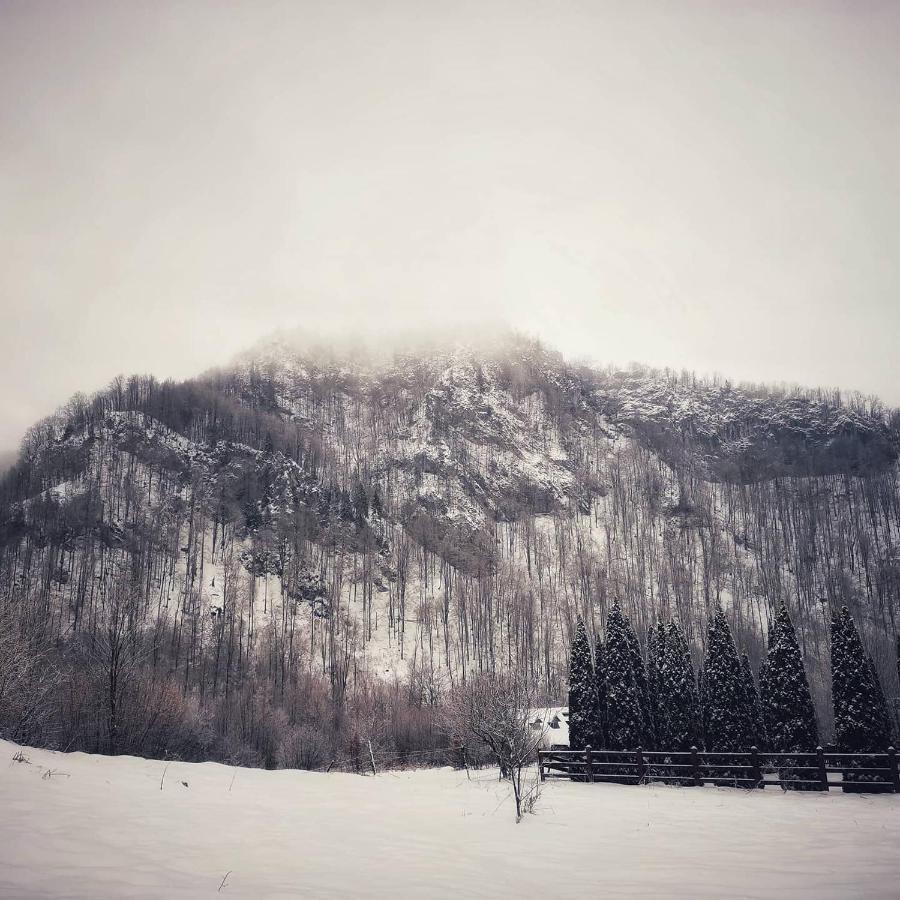Cabana Valea Rea, Boga Boga  Buitenkant foto