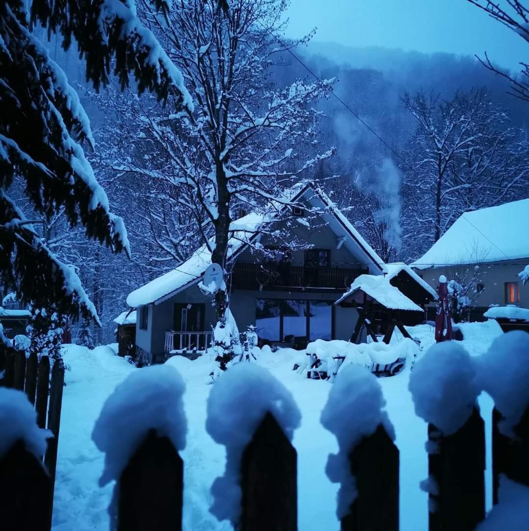 Cabana Valea Rea, Boga Boga  Buitenkant foto