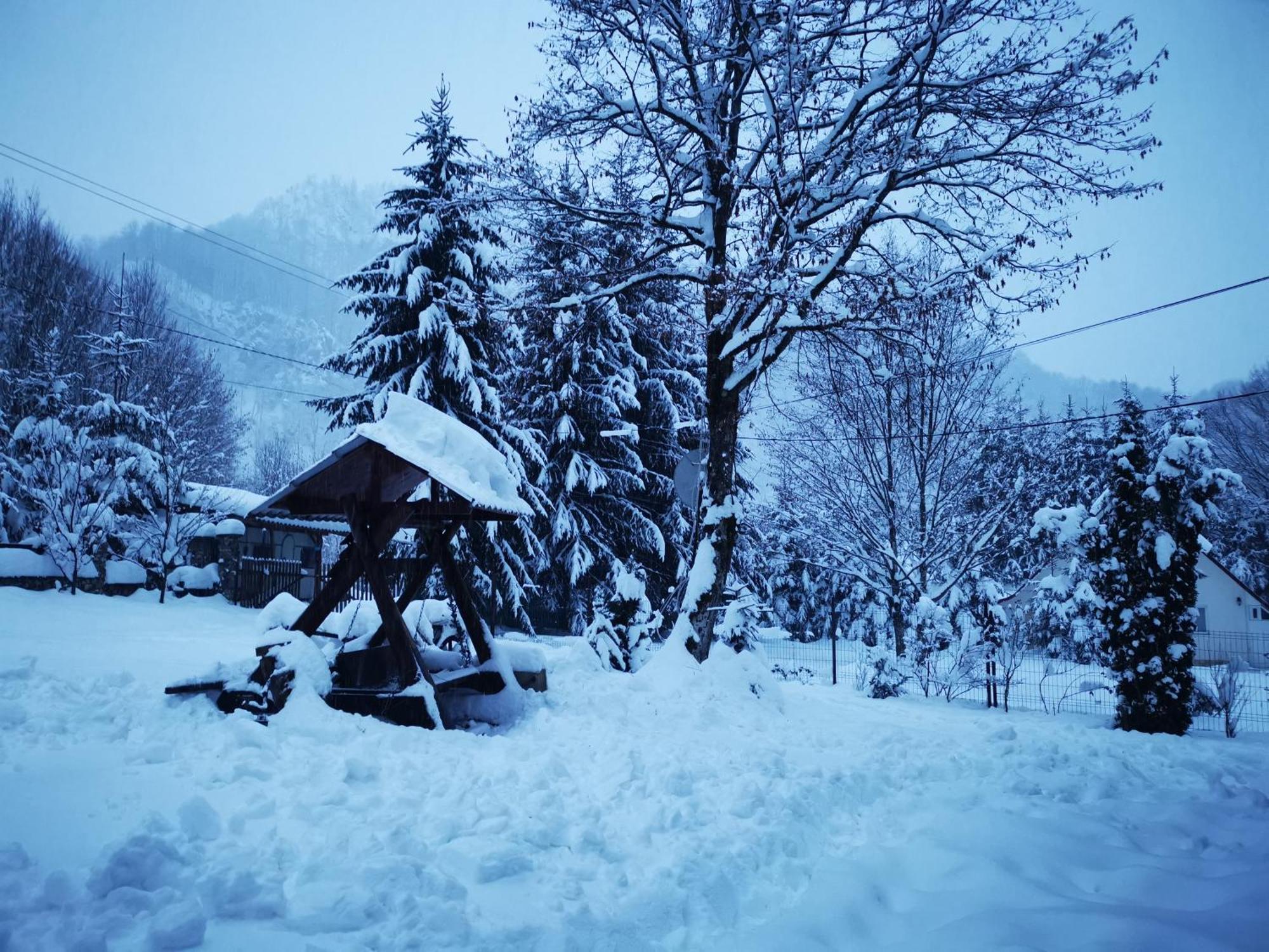 Cabana Valea Rea, Boga Boga  Buitenkant foto
