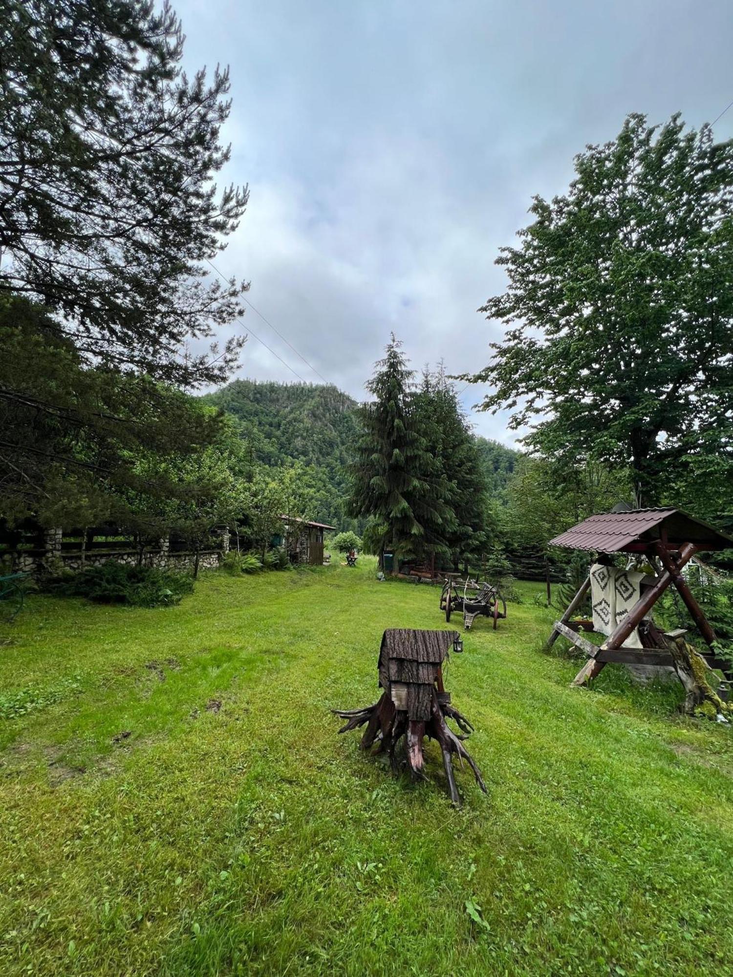 Cabana Valea Rea, Boga Boga  Buitenkant foto